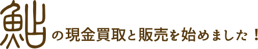 鮎の現金買取と販売を始めました！