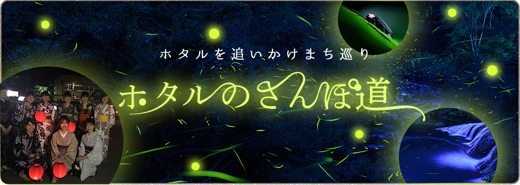 ホタルを追いかけまち巡り　ホタルのさんぽ道