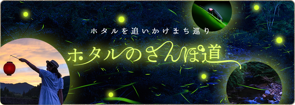 ホタルを追いかけまち巡り　ホタルのさんぽ道