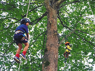 ロープde木登り体験