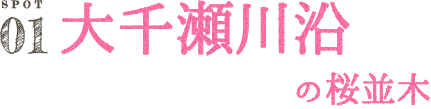 振草川沿の桜並木