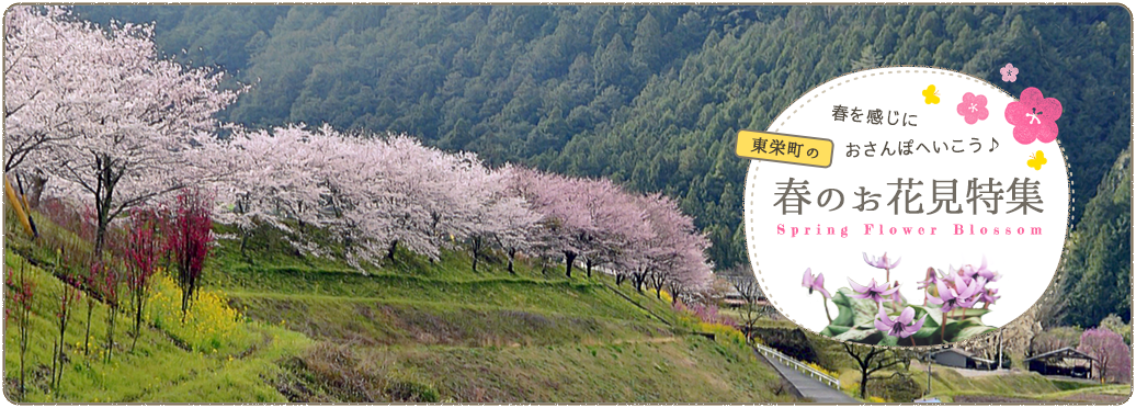 春のお花見特集