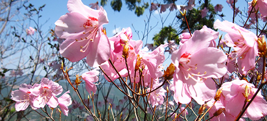 尾籠地区