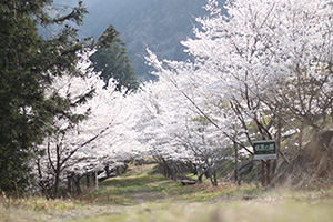 下田浄水公園