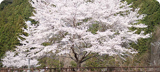 下田浄水公園