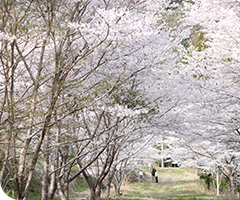 下田浄水公園