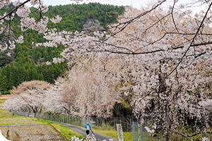 ポンプ島公園