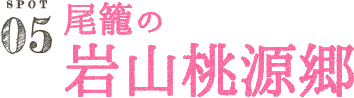 尾籠の岩山桃源郷