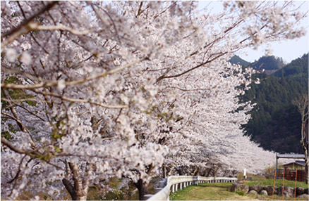 ポンプ島公園イメージ