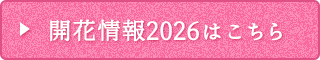 開花情報2026はこちら