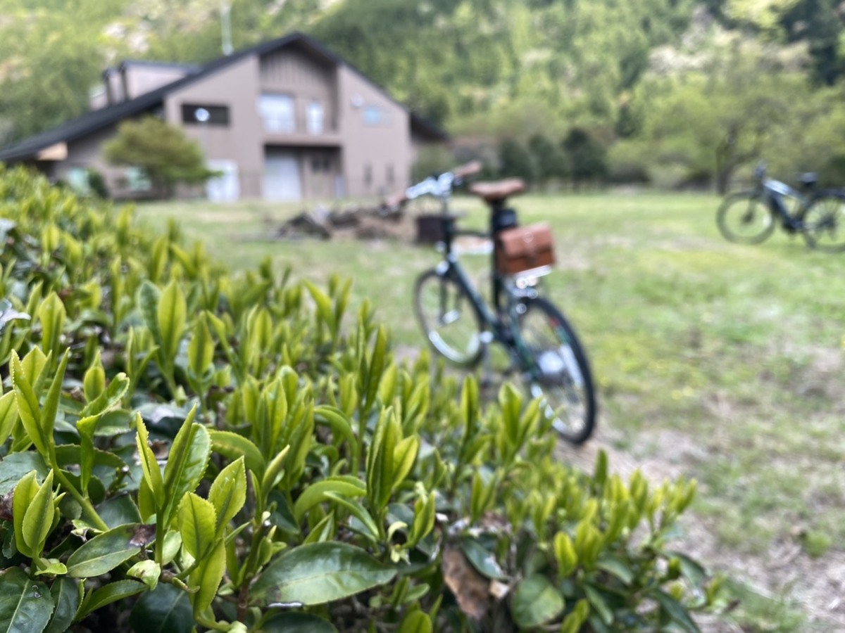 とうえい自転車　日程