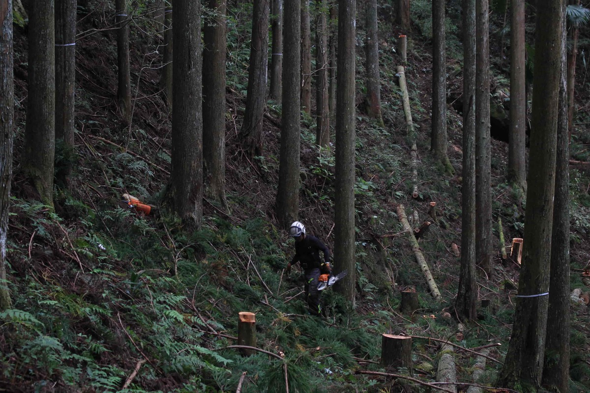 東栄町森林組合お仕事体験