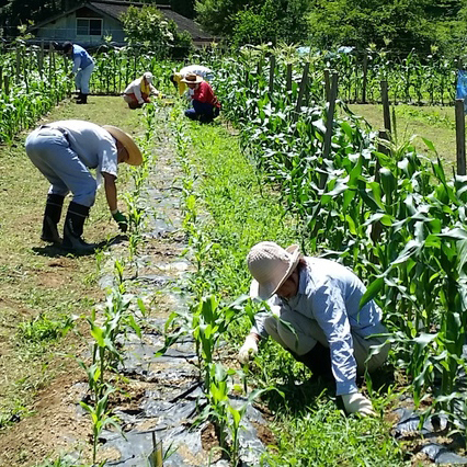 古戸ひじり会